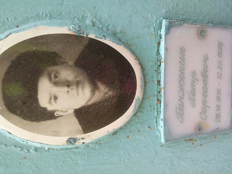 Пинженин