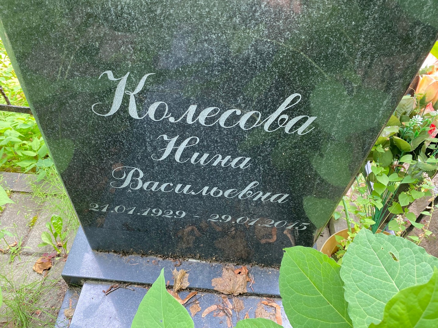 Колесова