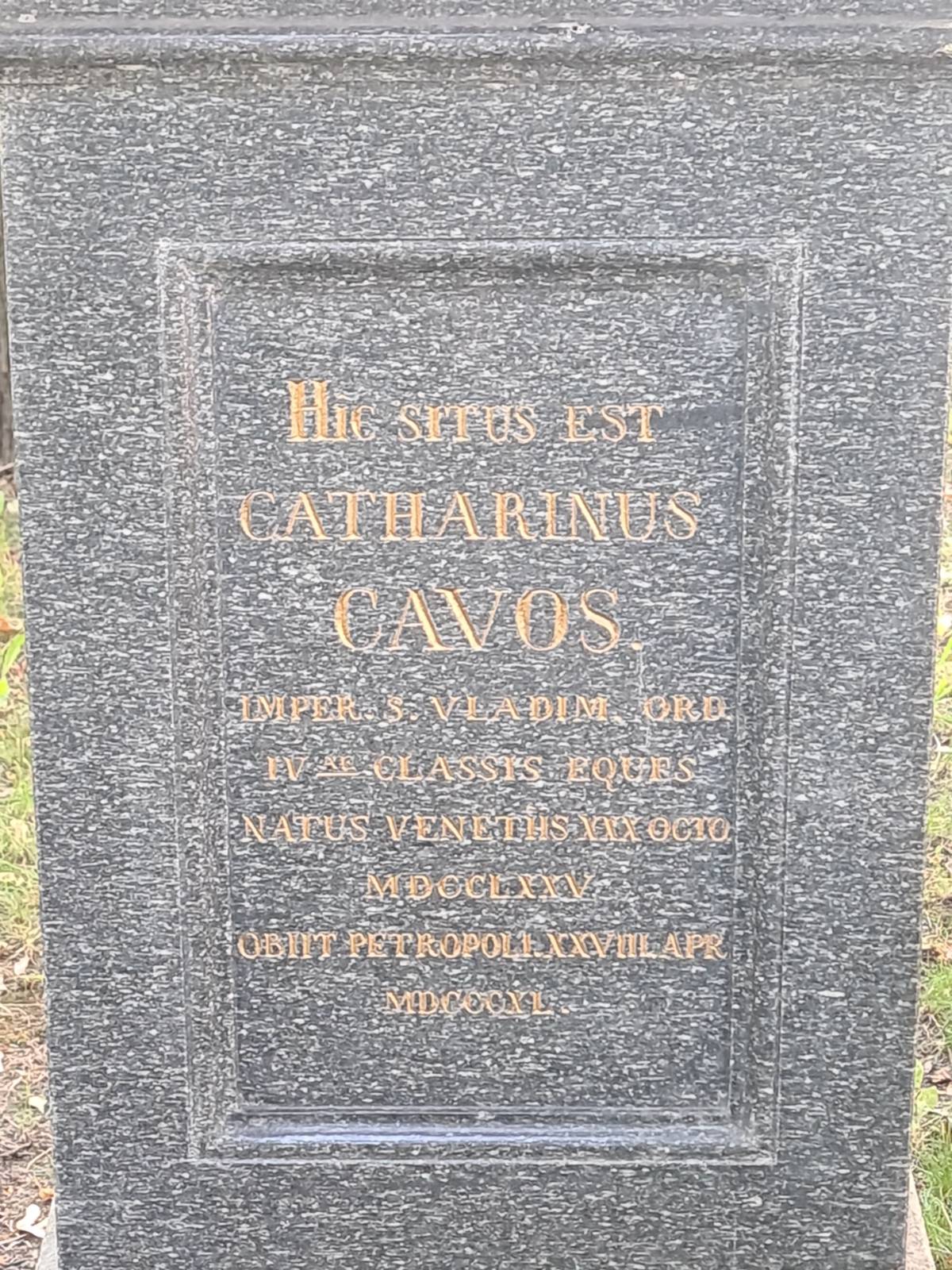 Cavos Catharinus