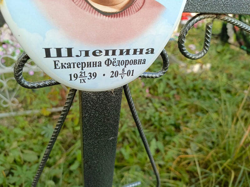 Шлепина