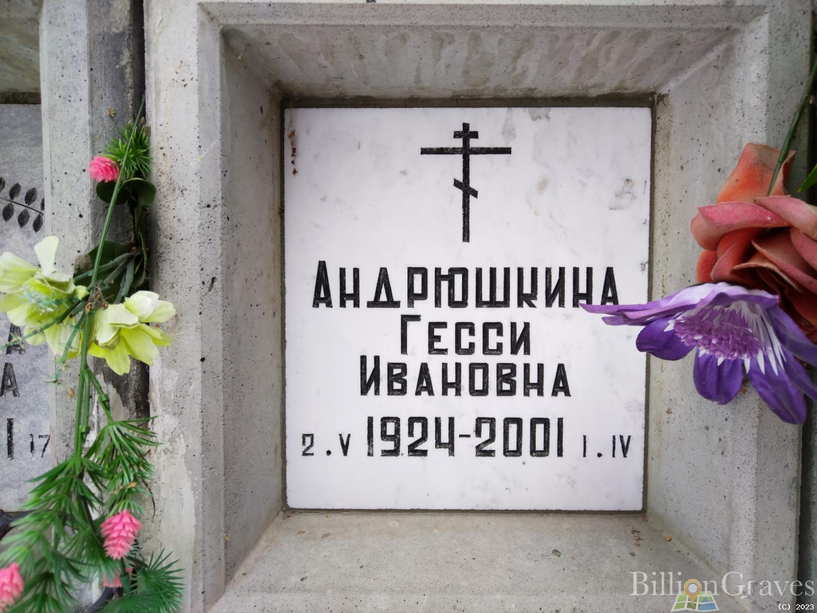 Андрюшкина Гесси Ивановна