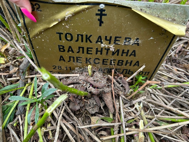 Толкачева