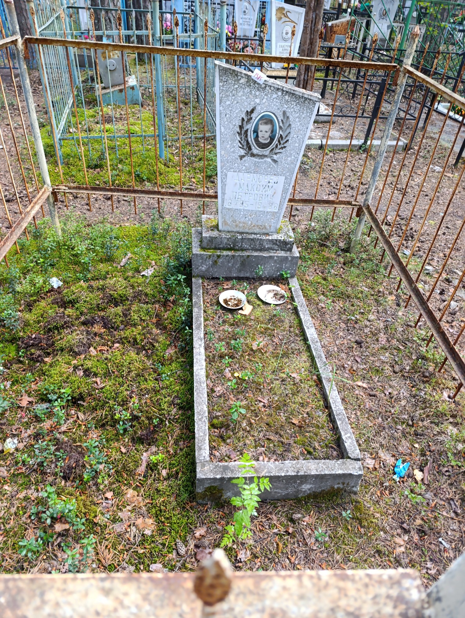 Дарморез Максим Петрович