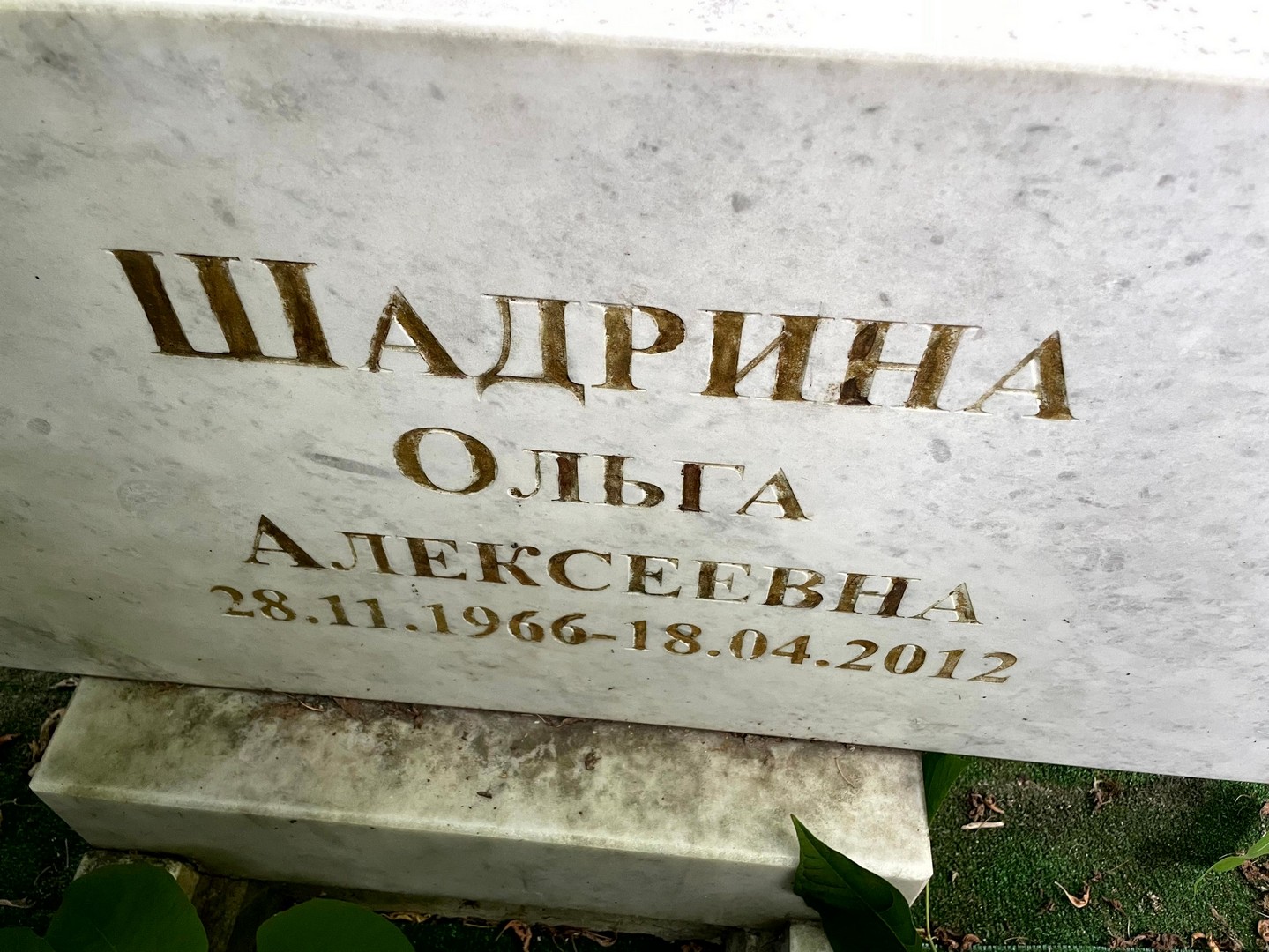 Шадрина