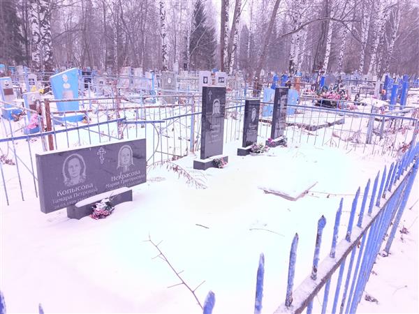 Еремин Виктор Ильич