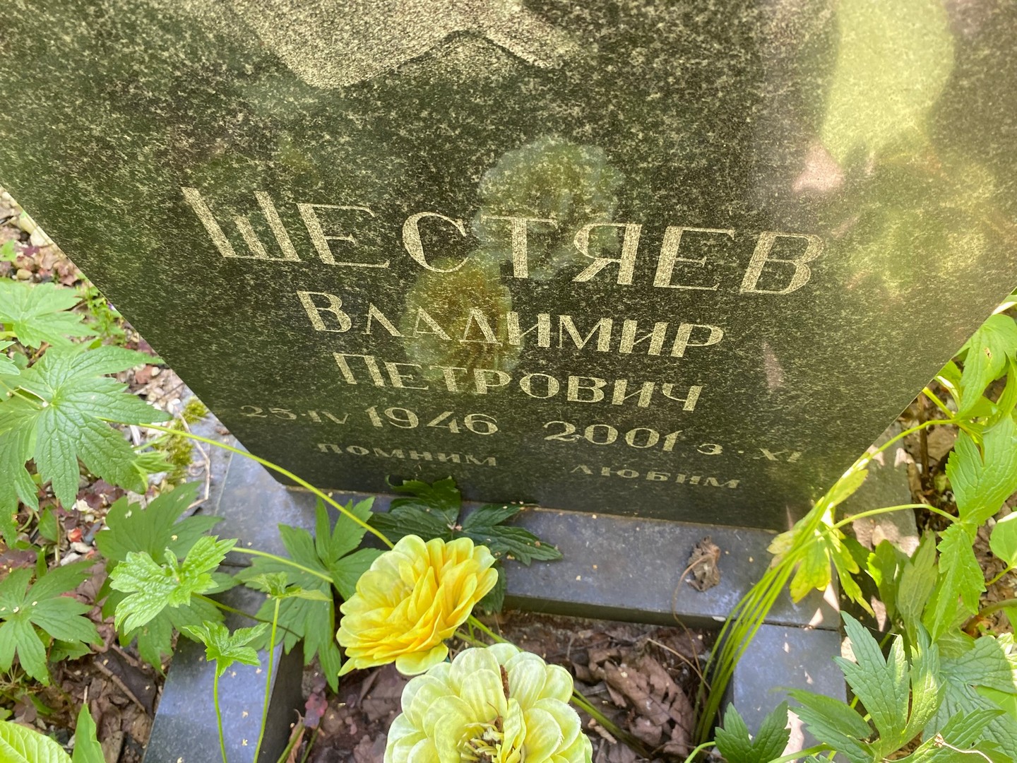 Шестяев