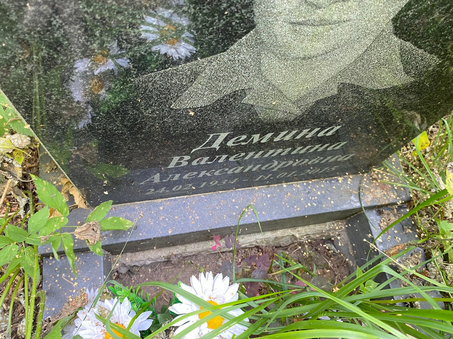 Демина