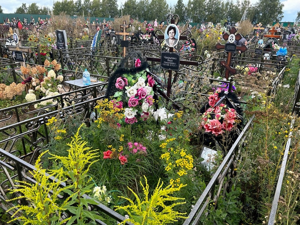 Чакрыгина Вера Николаевна