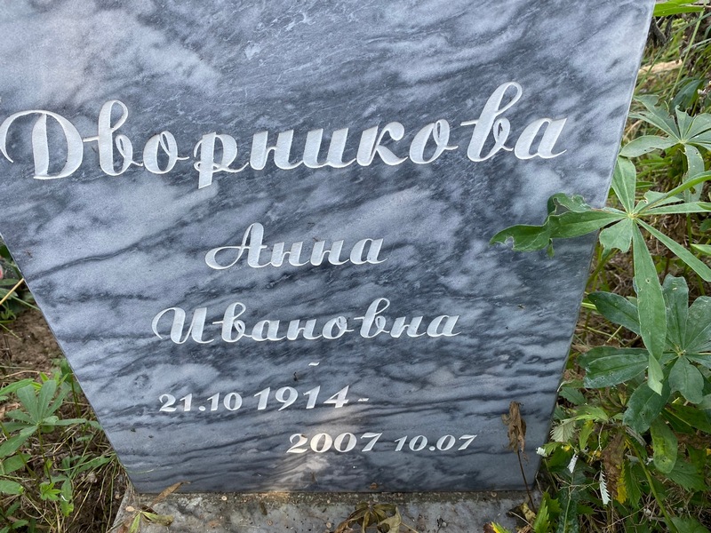 Дворникова
