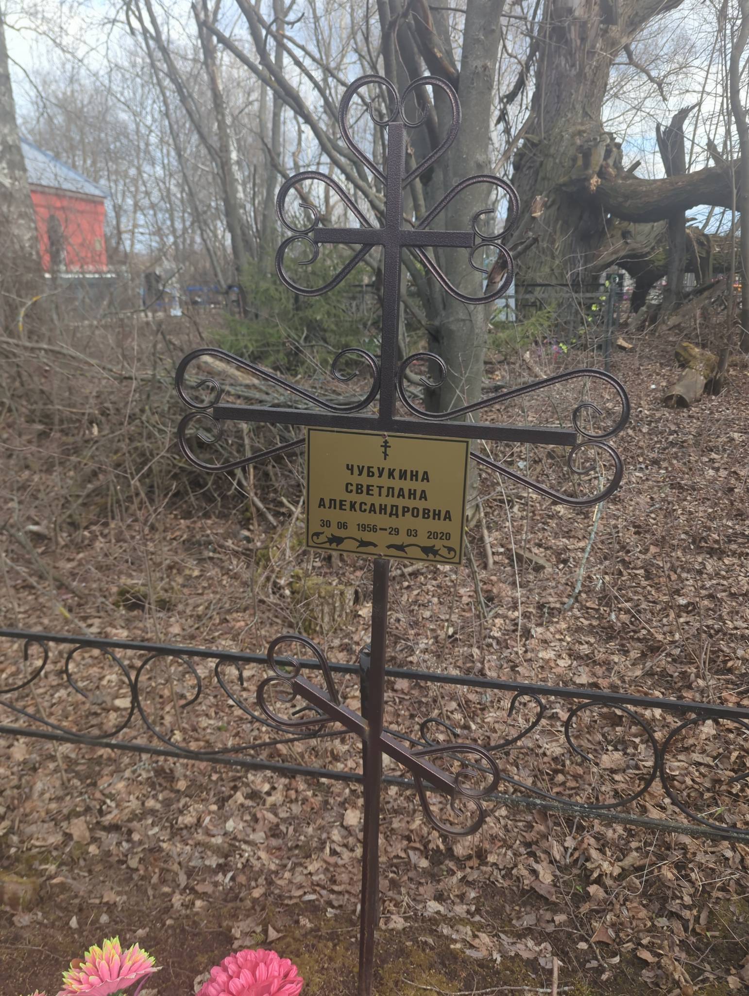 Чубукина Светлана Александровна