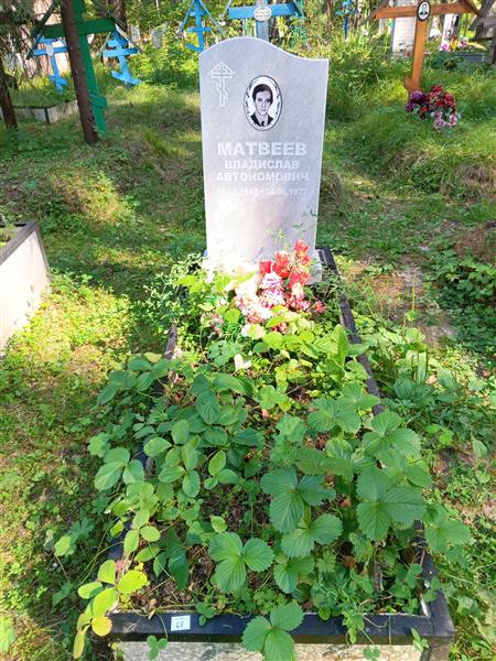 Матвеев Владислав Автономович