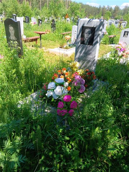 Владимиров Виталий Николаевич