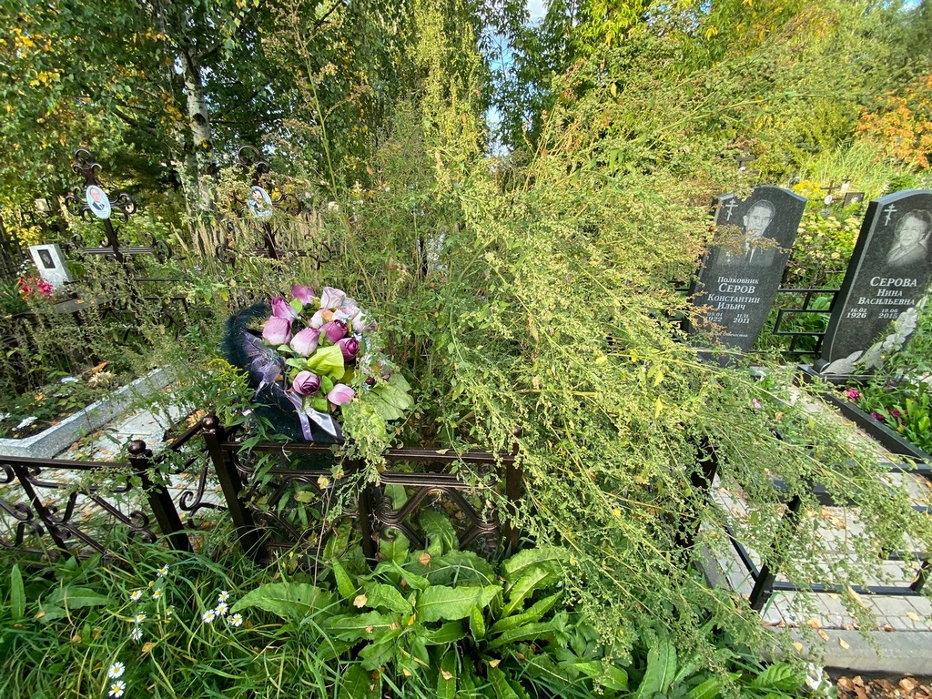 Петкалева Виолета Константиновна