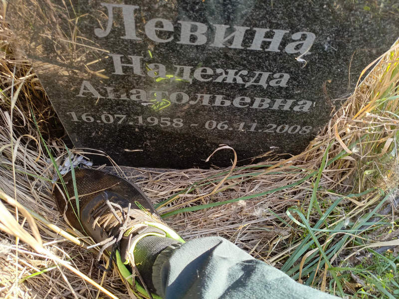 Левина