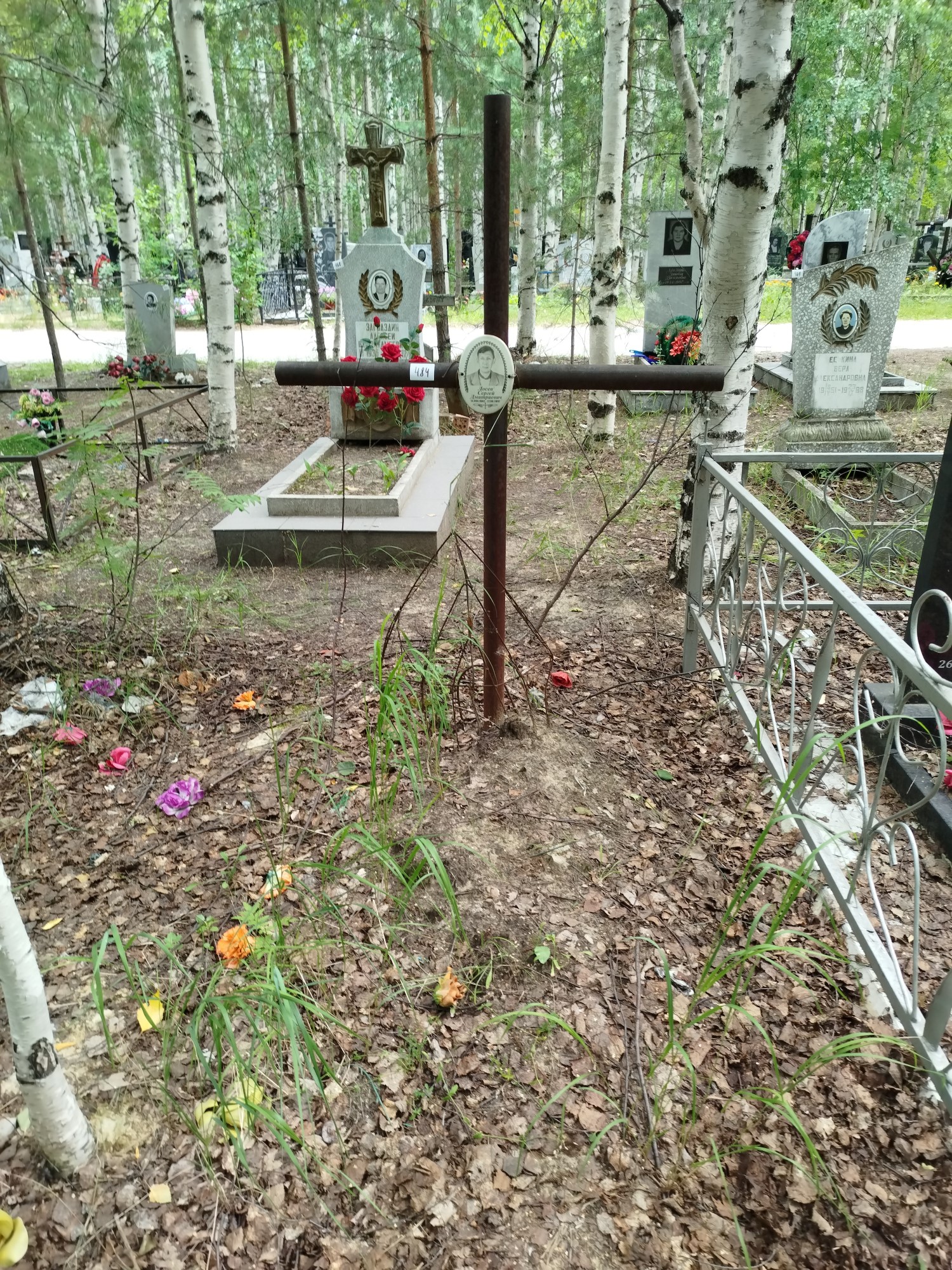 Лосев Сергей Дмитриевич