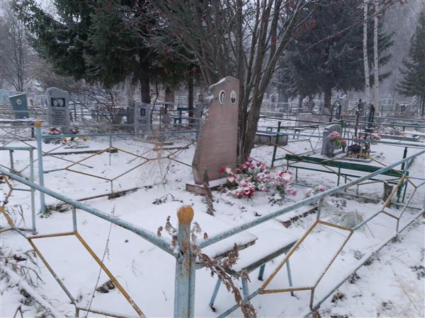 Бронников Гелиос Всеволодович