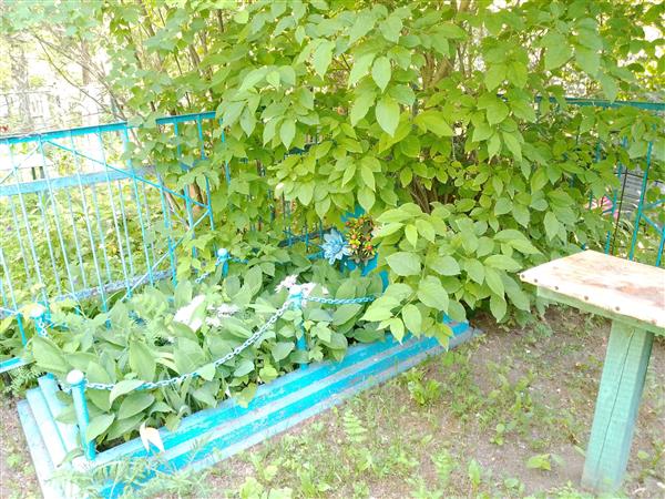 Рыбаков Николай Васильевич