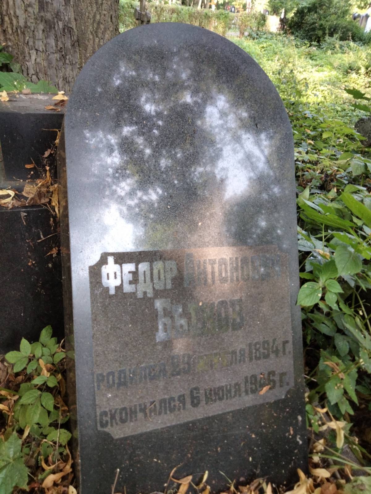 Быков Федор Антонович