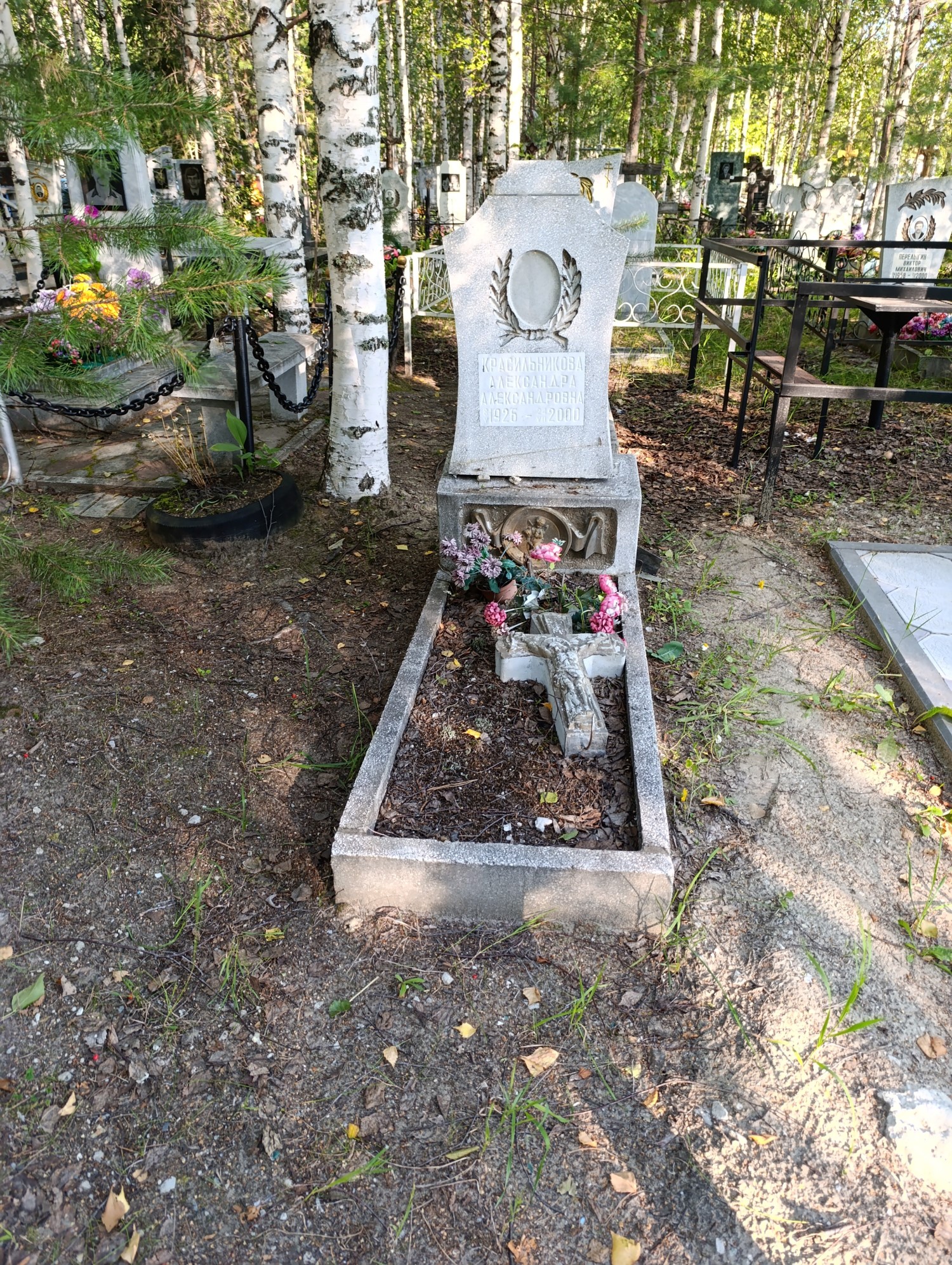 Красильникова Александра Александровна