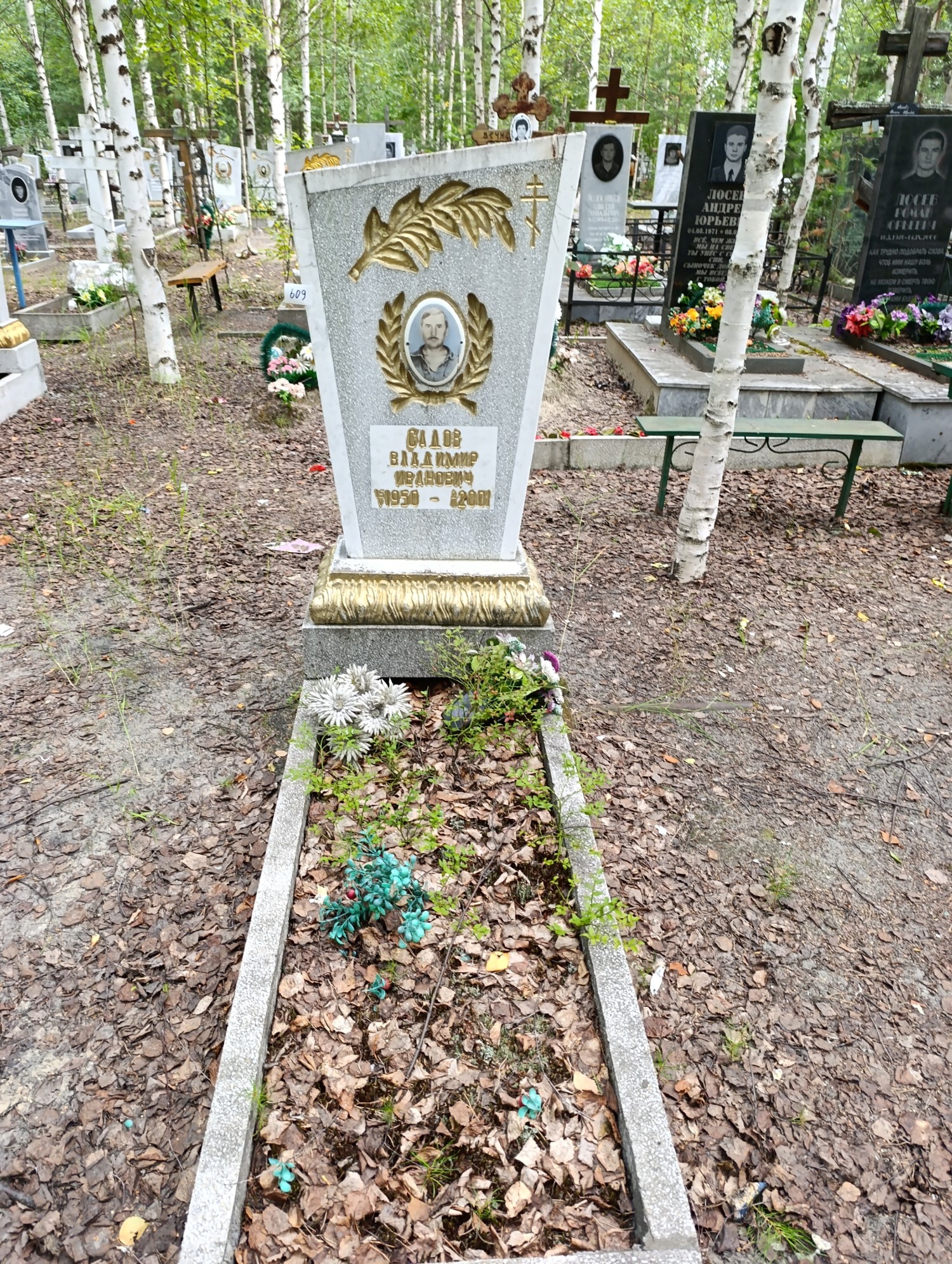 Садов Владимир Иванович