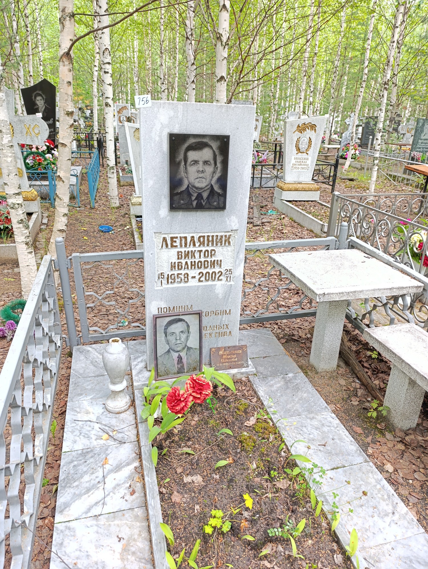 Лепляник Виктор Иванович
