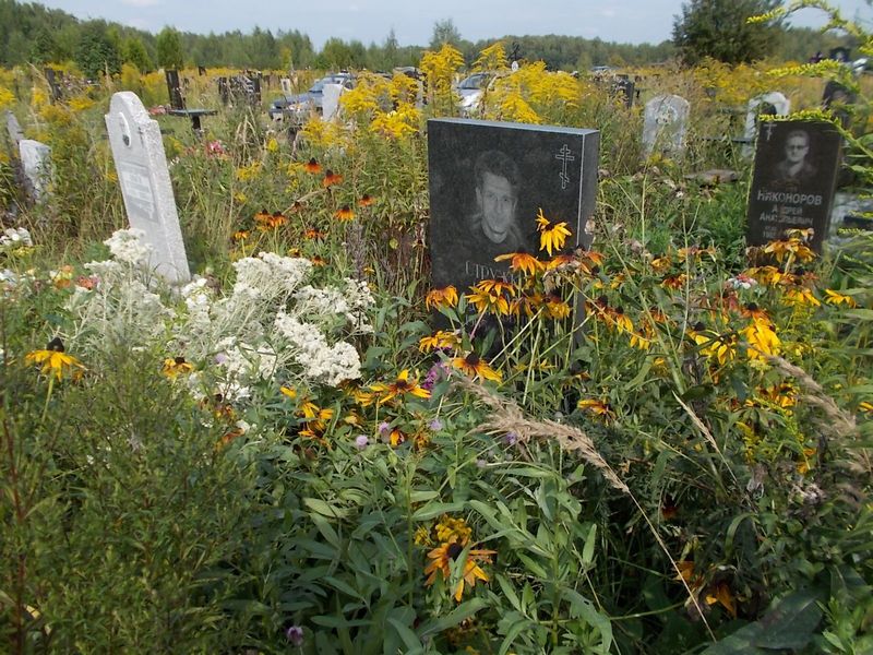 Стружко Кирилл Эдуардович