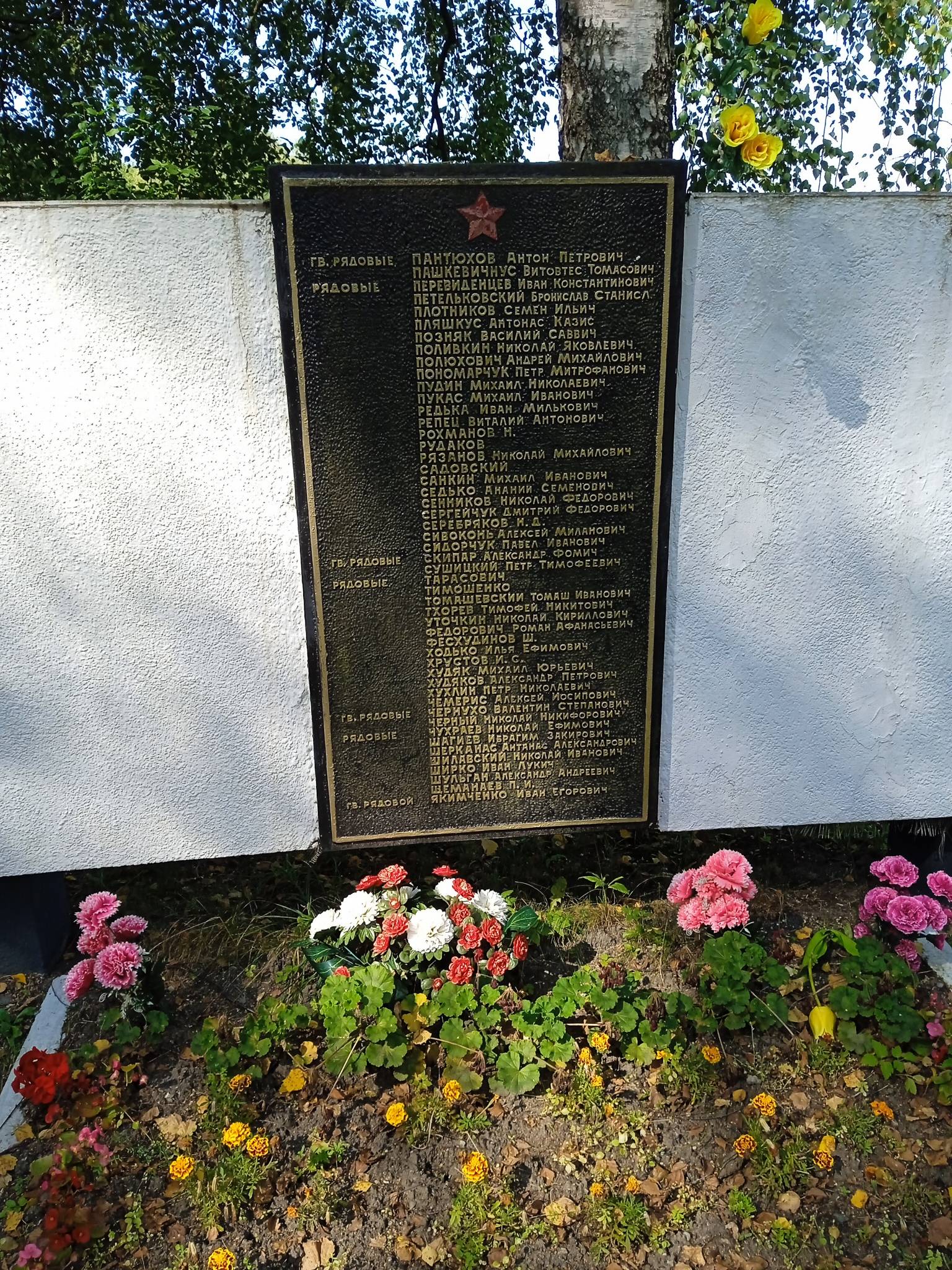 Полюхович Андрей Михайлович