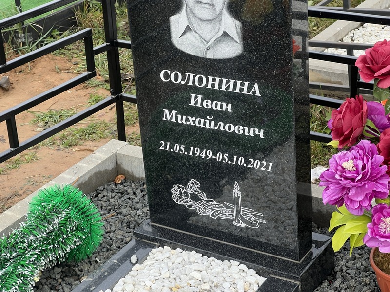 Солонина