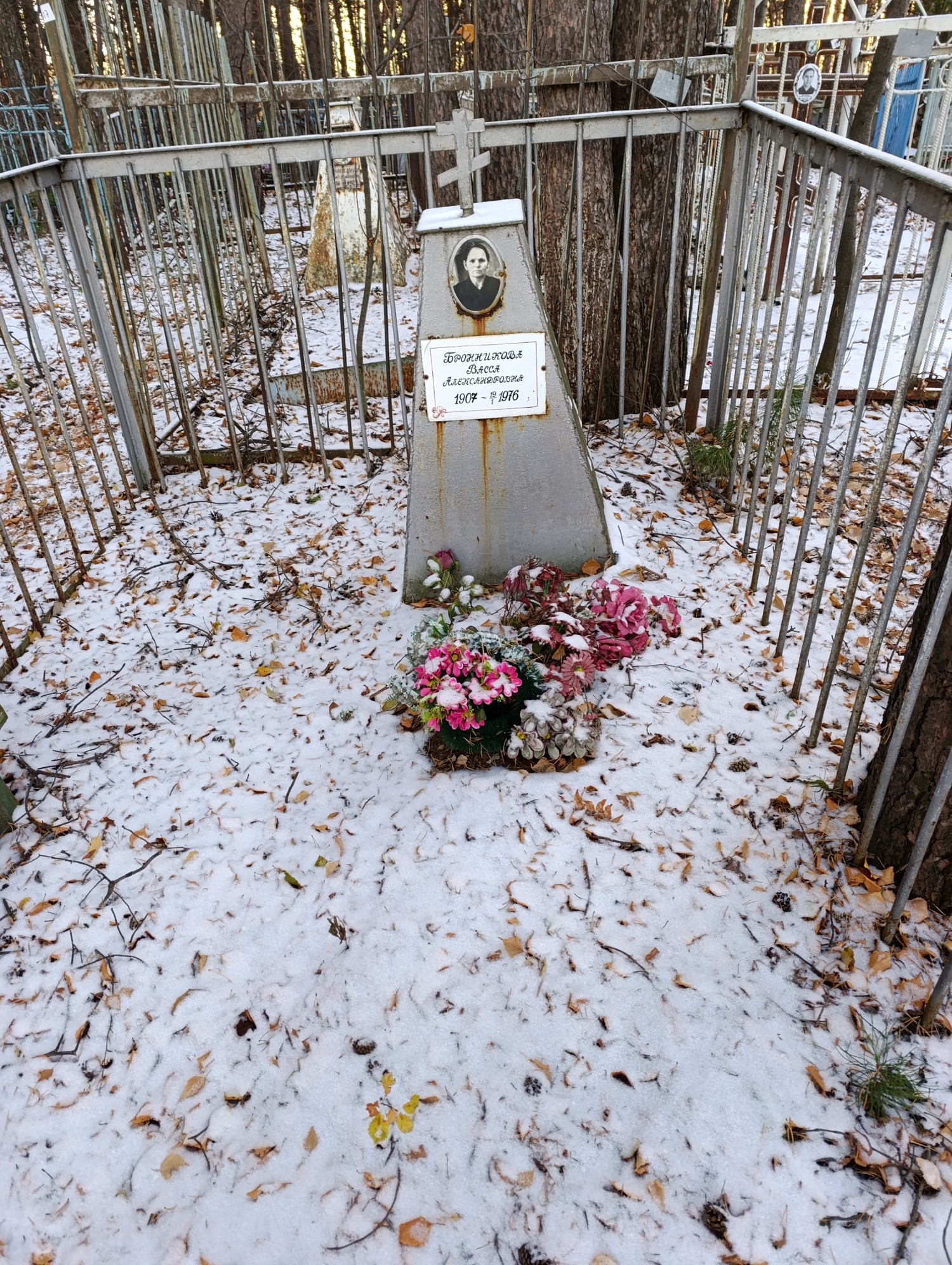 Бронникова Васса Александровна