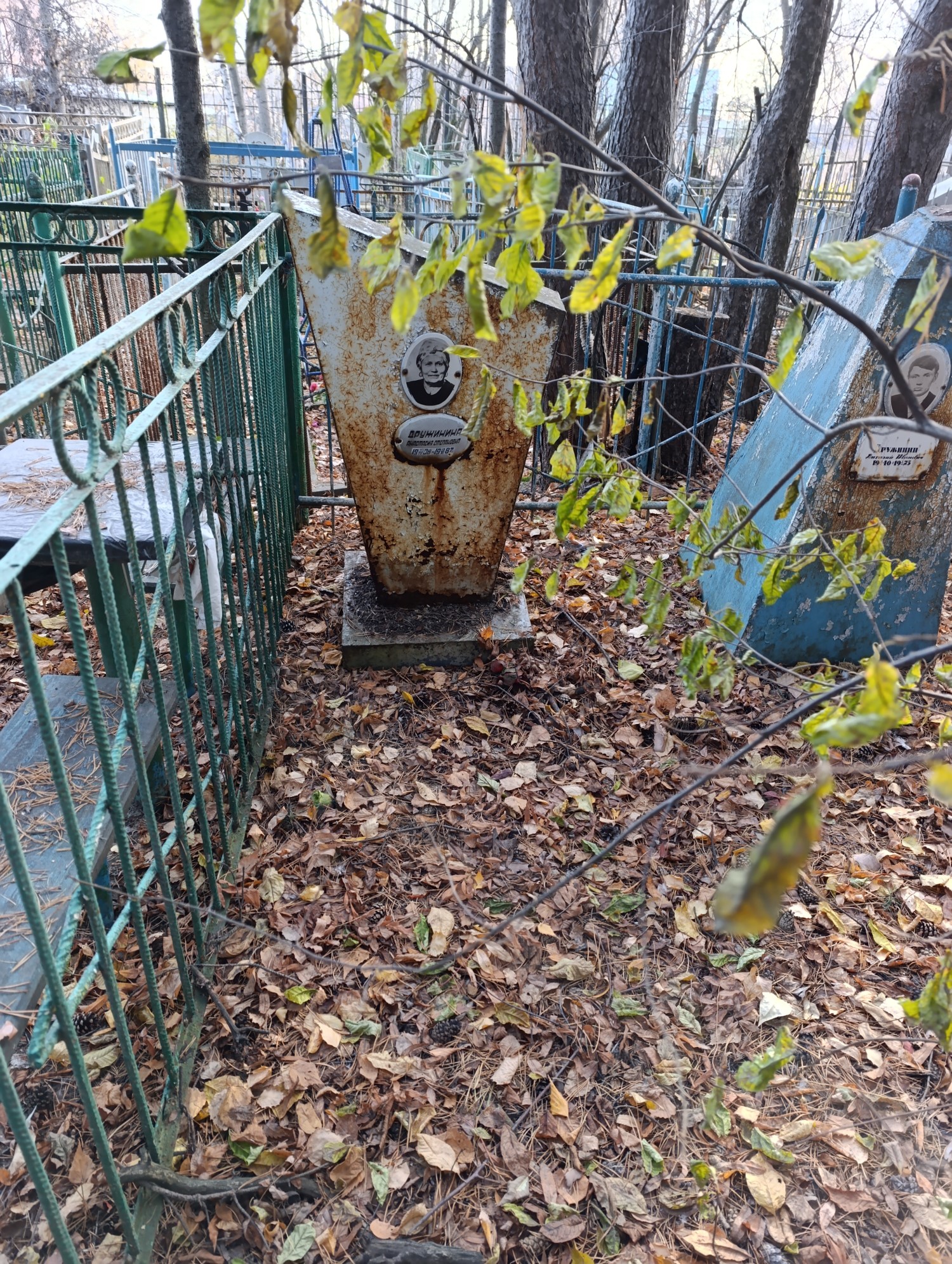 Дружинина Анастасия Степановна