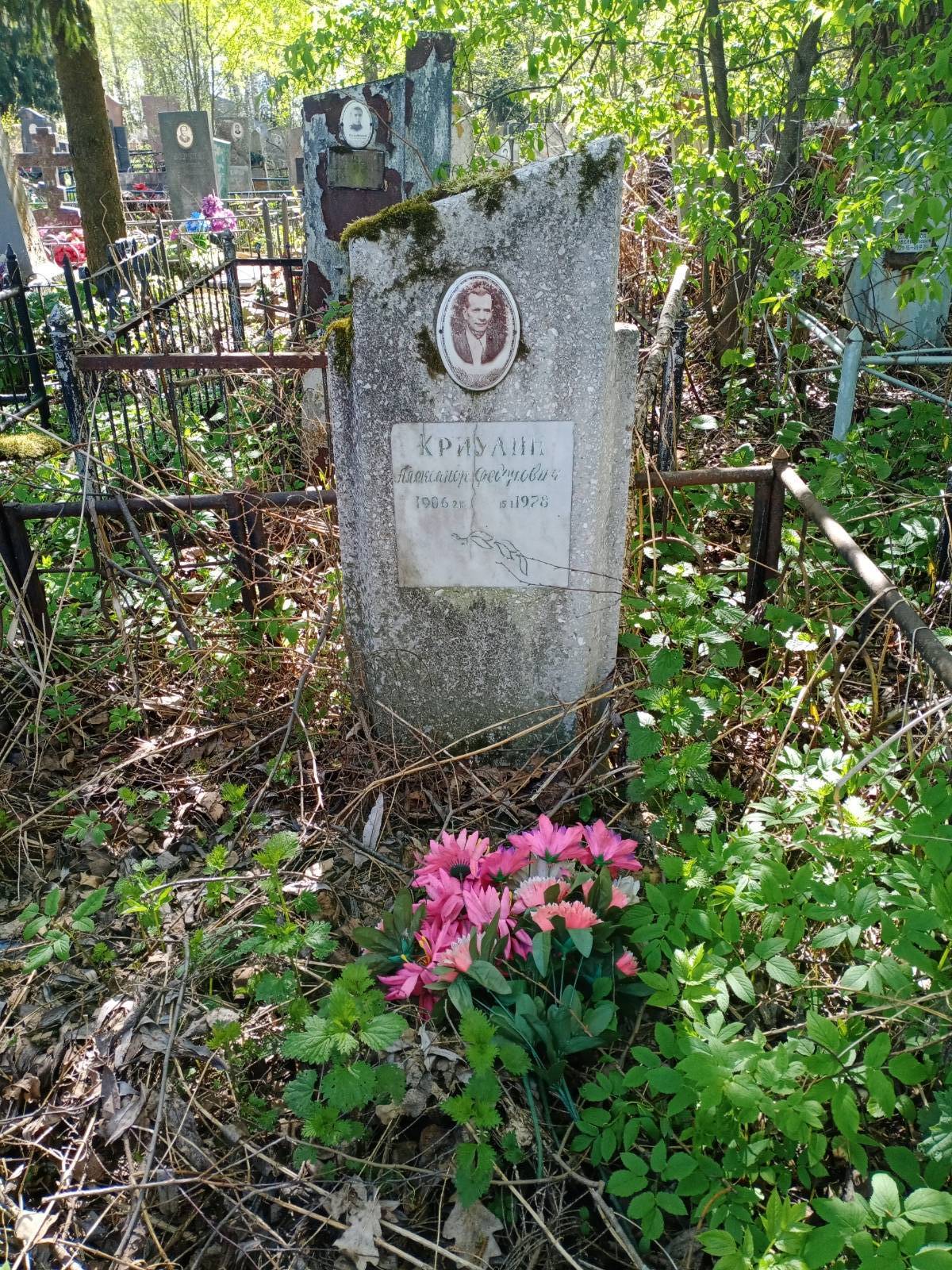 Криулин Александр Федорович