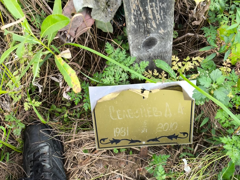 Д. Селезнев А.