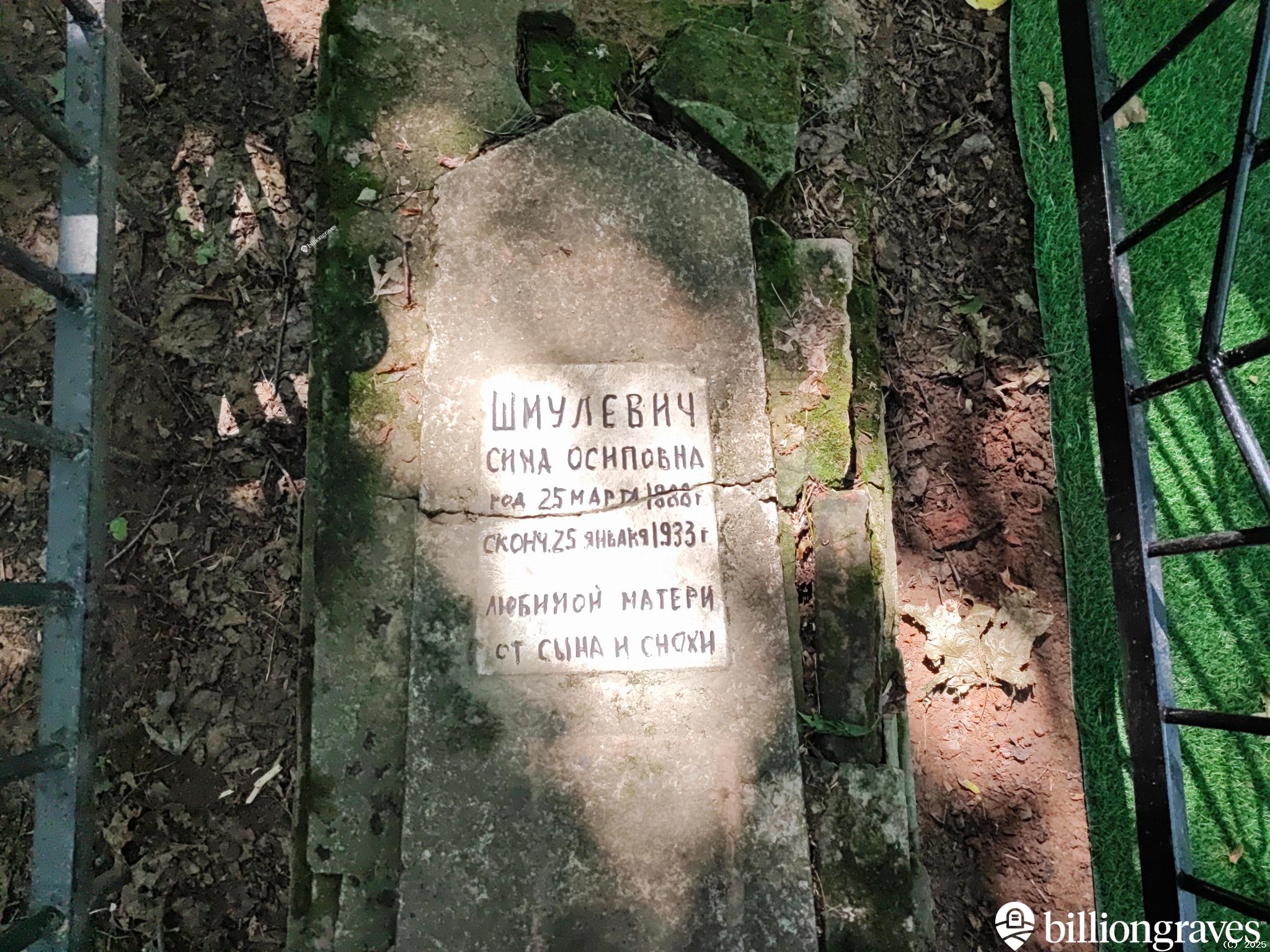 Шмулевич Сима Осиповна