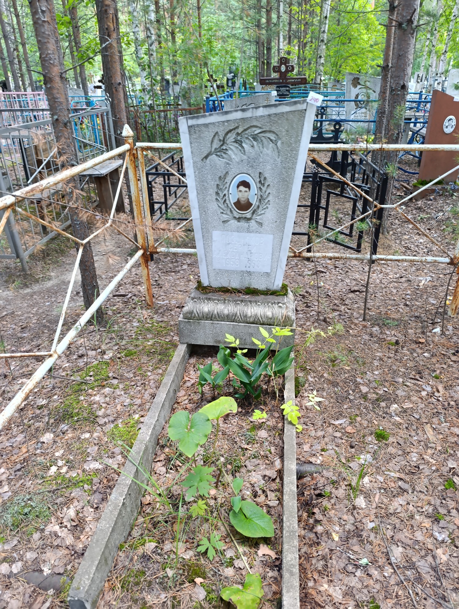 Поздняков Сергей Александрович
