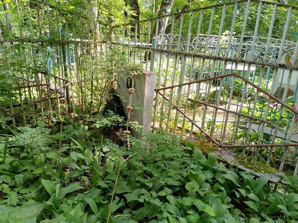 Деревягина Анастасия Александровна