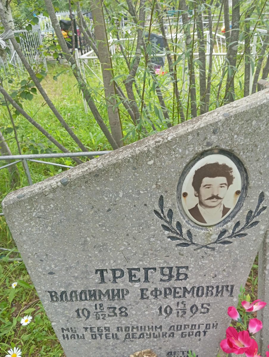 Трегуб Владимир Ефремович