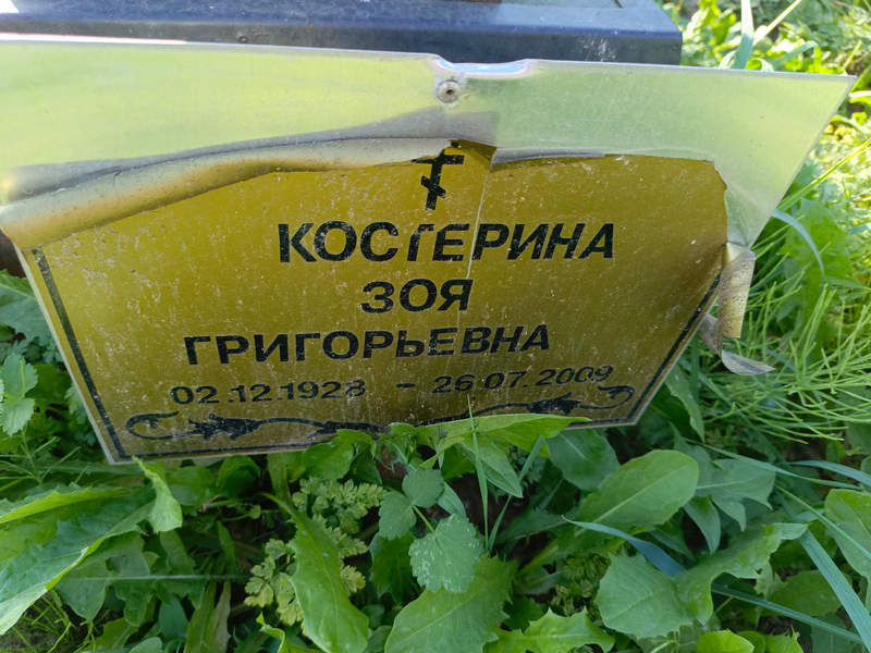 Костерина