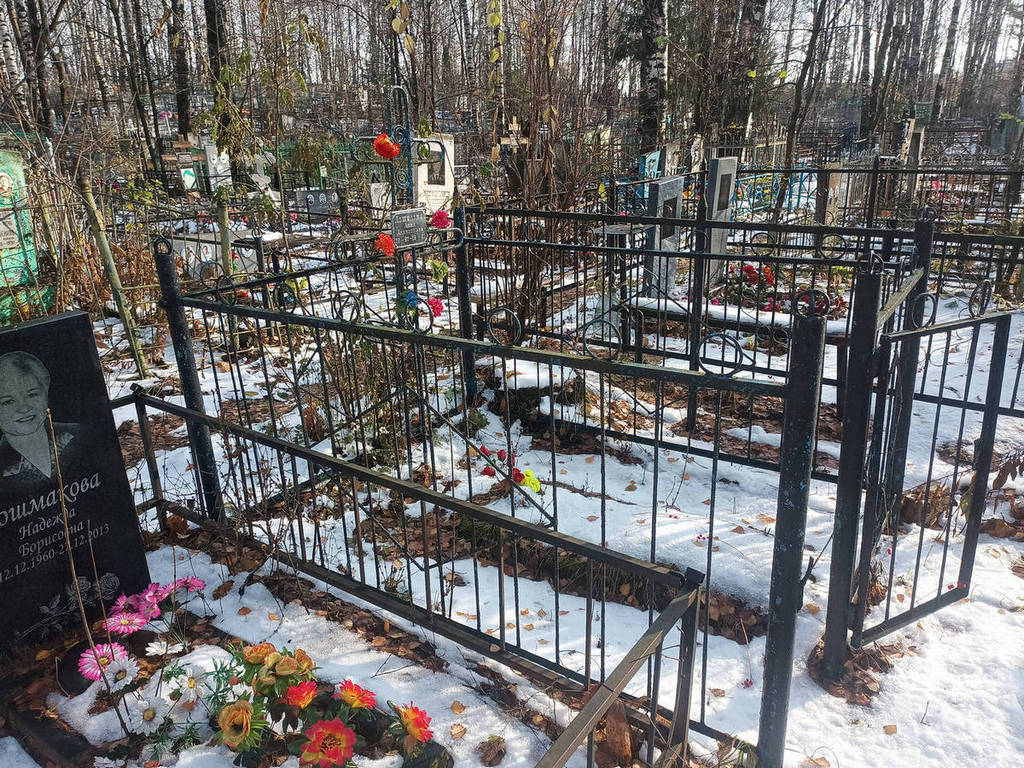 Лощилова Анна Алексеевна