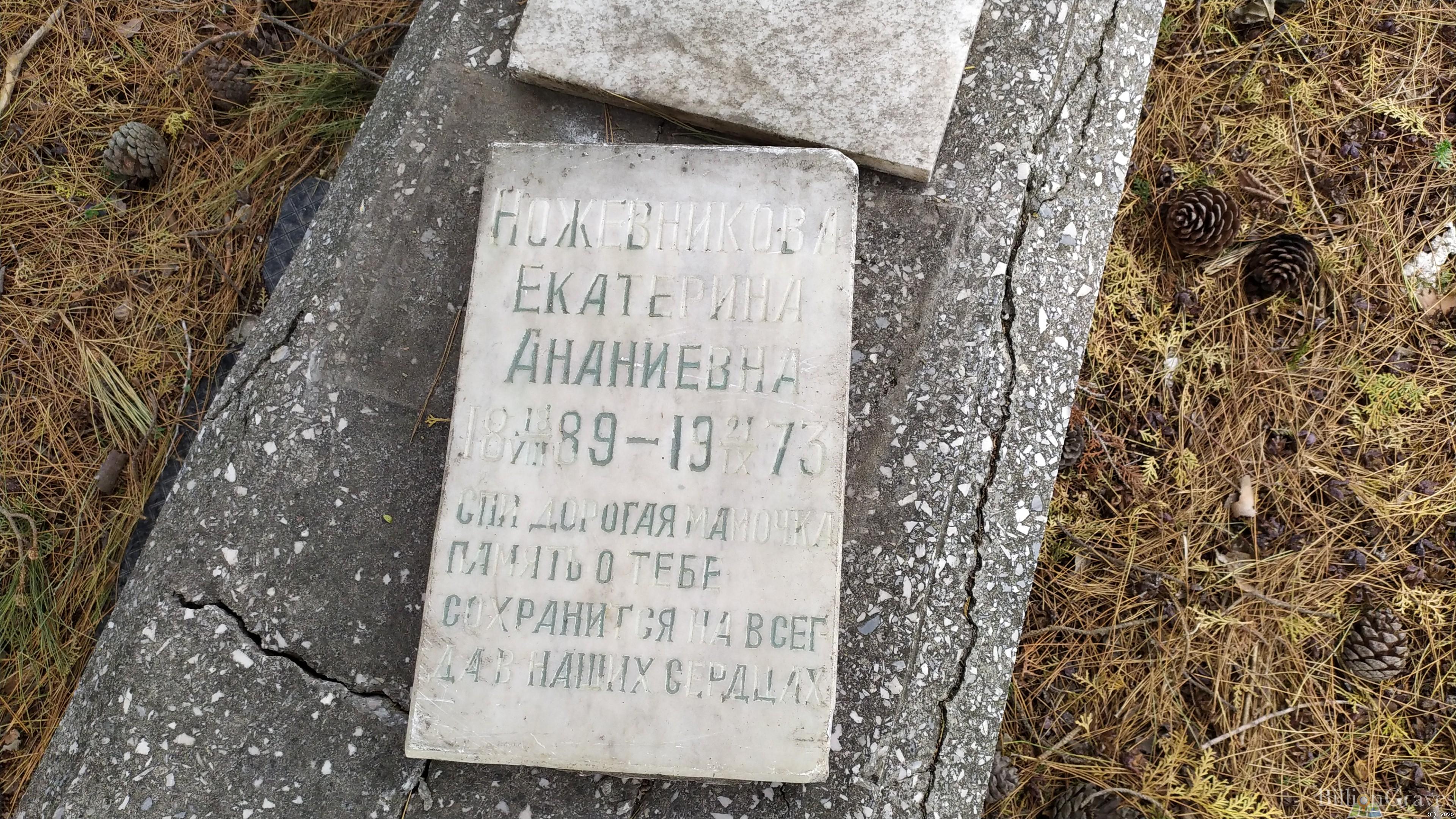 Ножевникова Екатерина Ананиевна