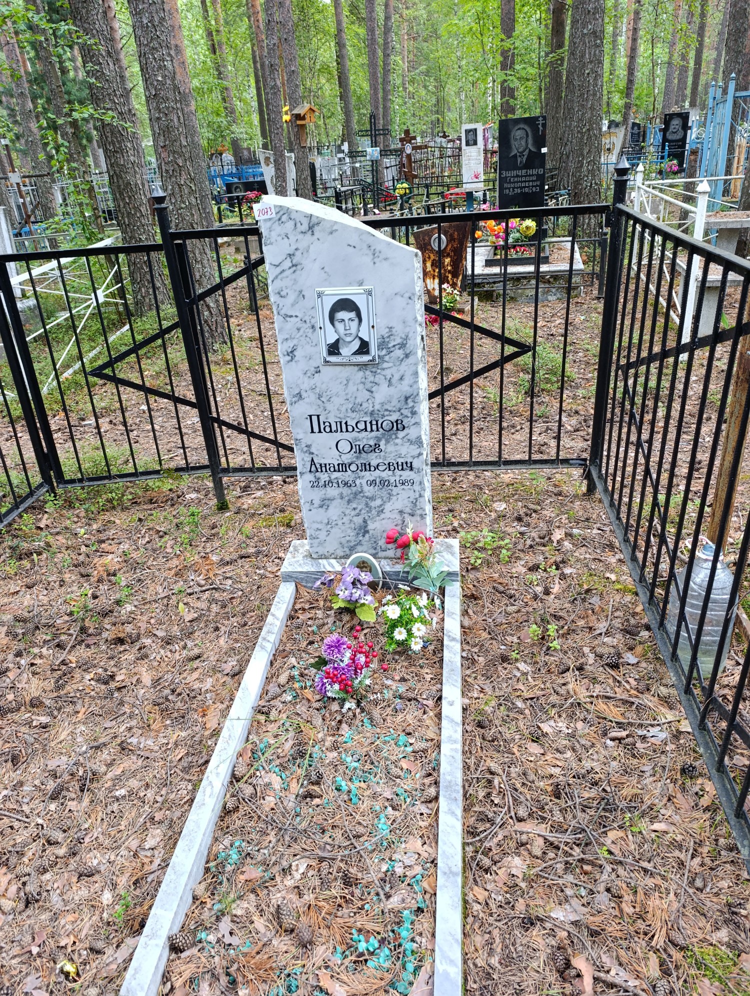 Пальянов Олег Анатольевич