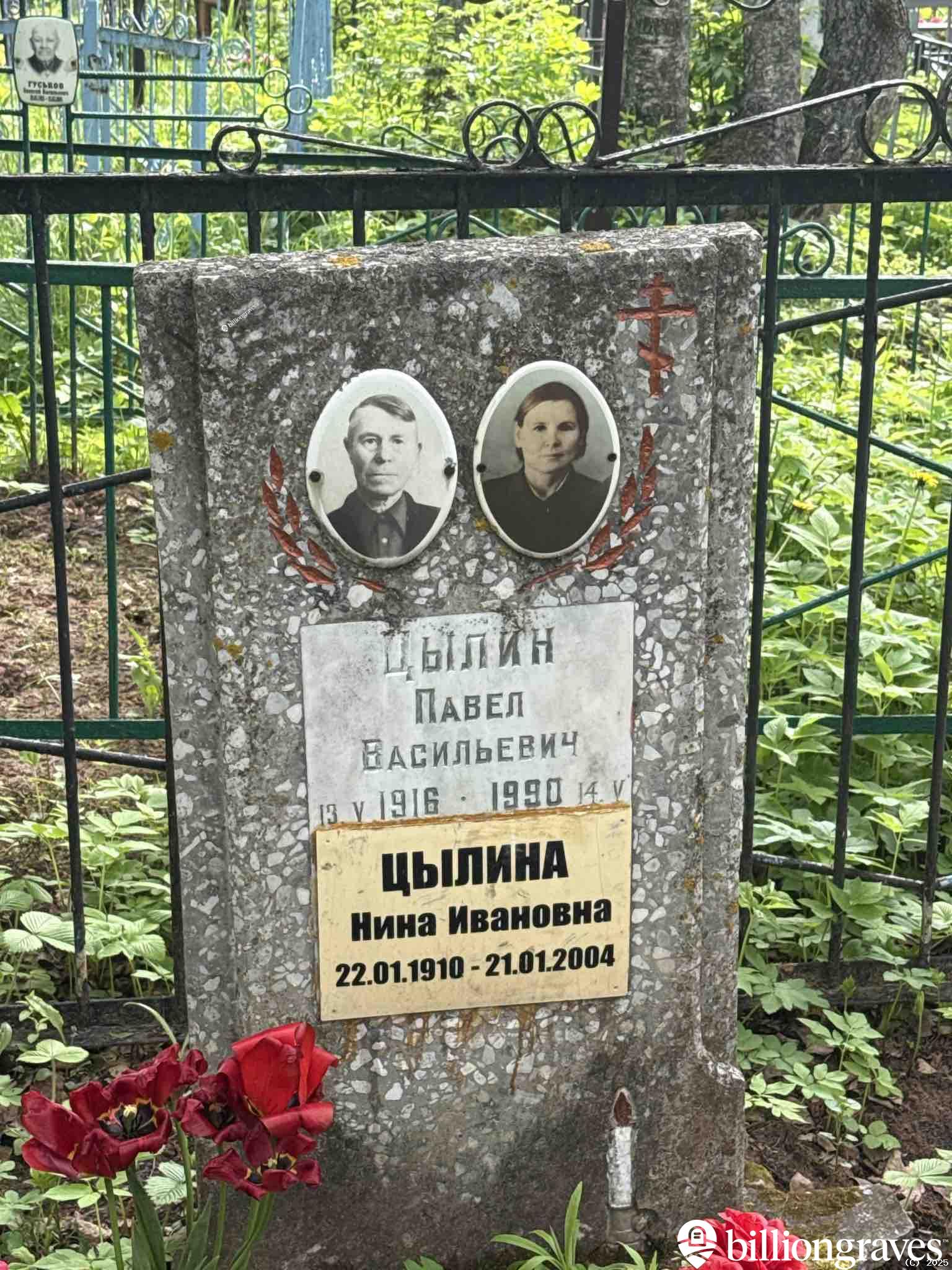 Цылина Нина Ивановна
