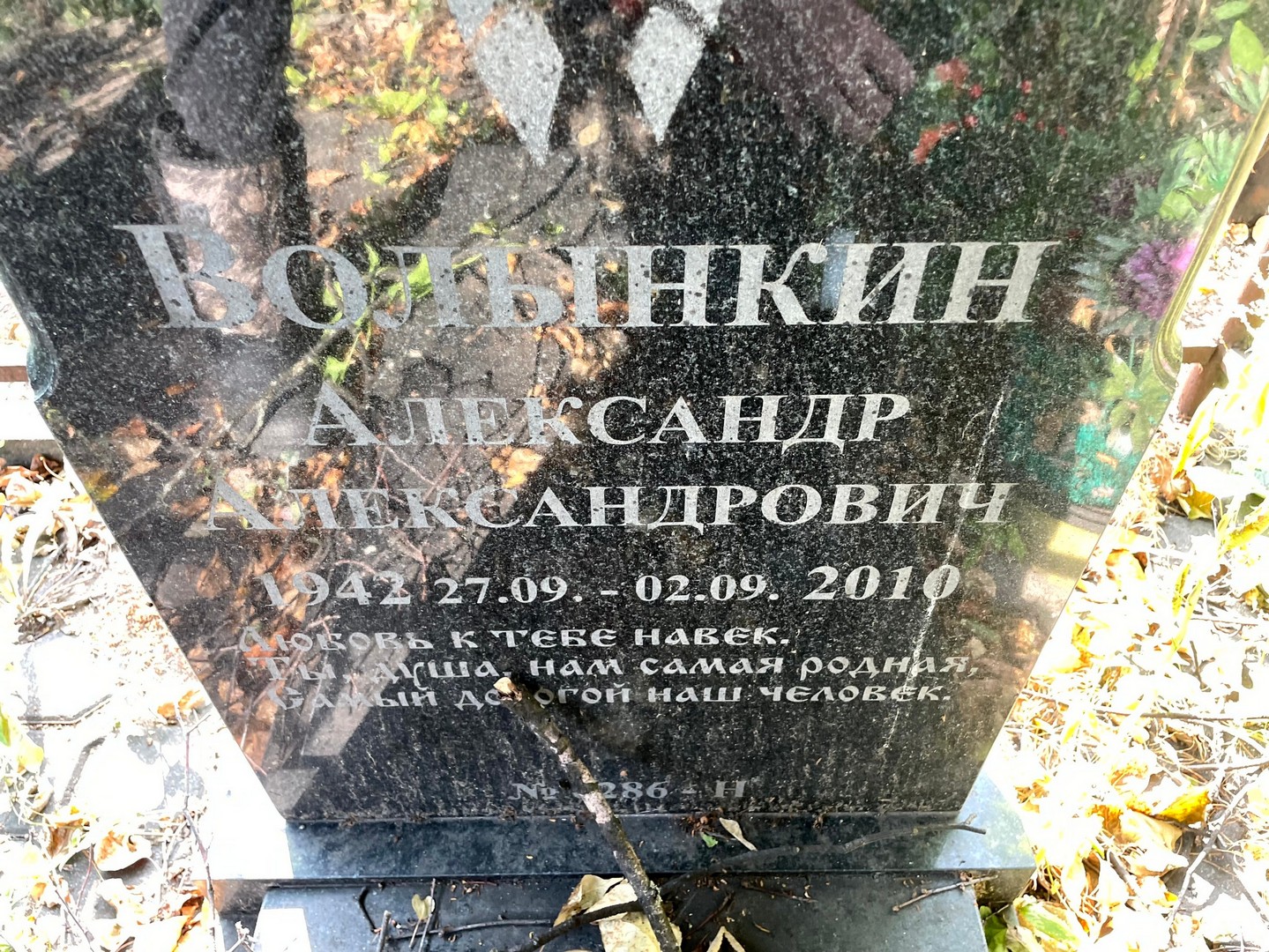 Волынкин