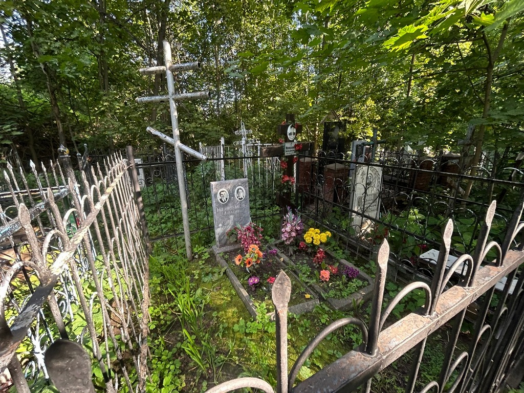 Малоземов Виктор Дмитриевич