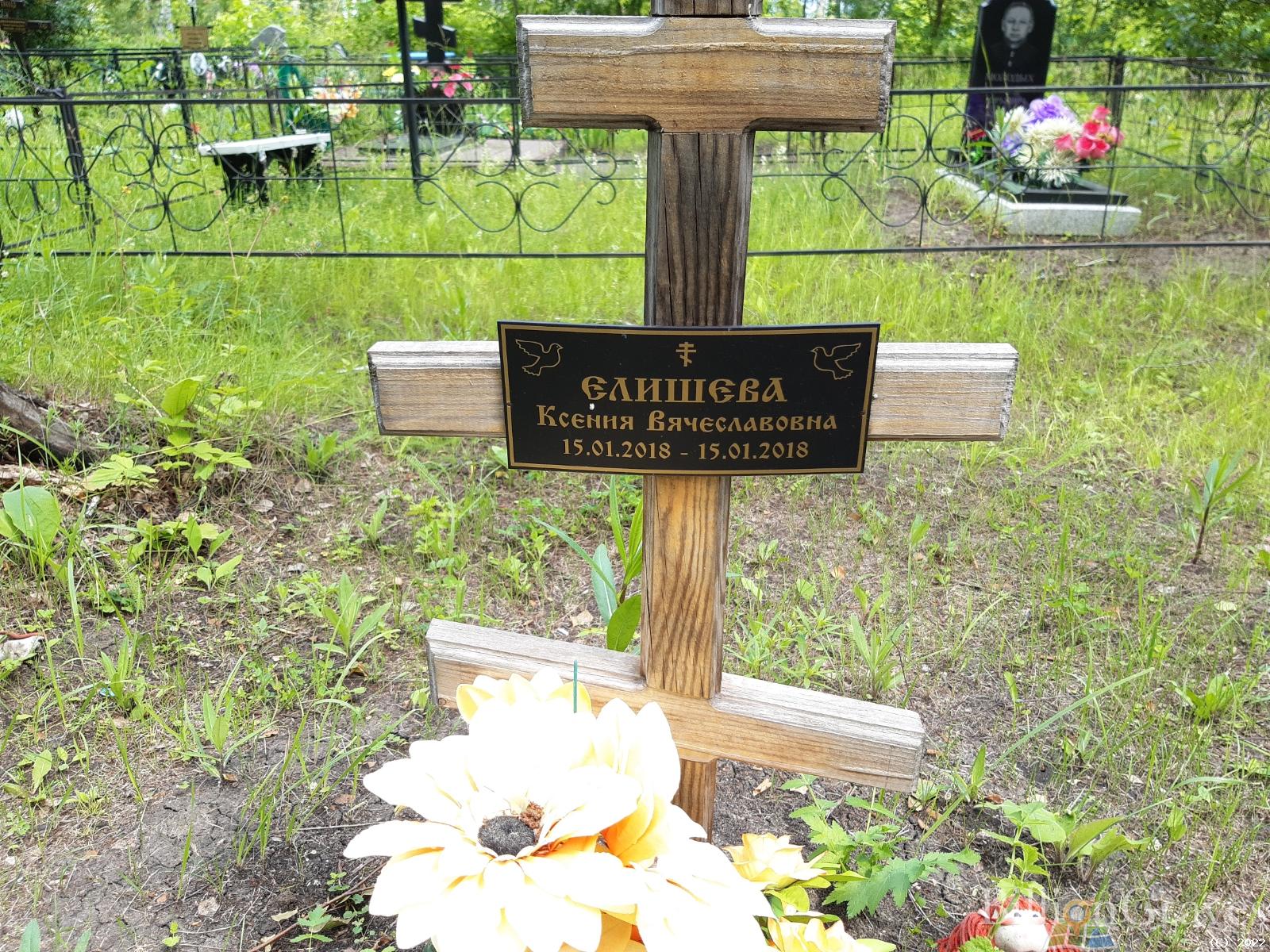 Елишева Ксения Вячеславовна