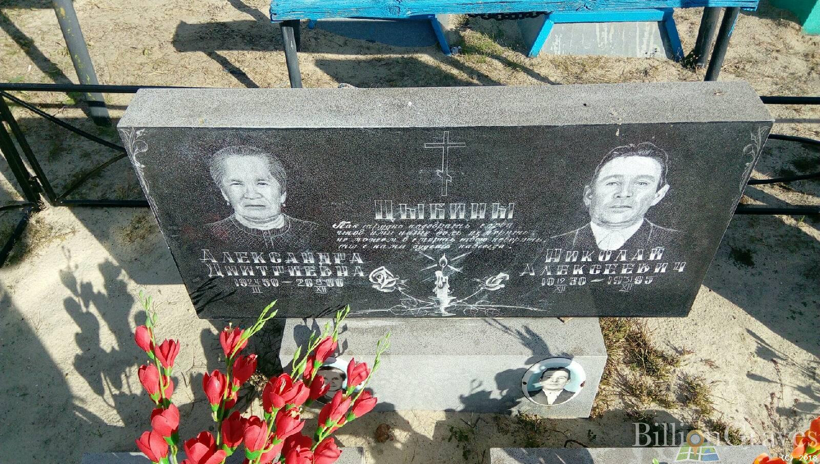 Цыбина Александра Дмитриевна