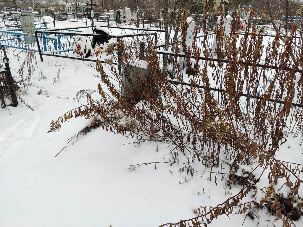 Лушников Петр Яковлевич