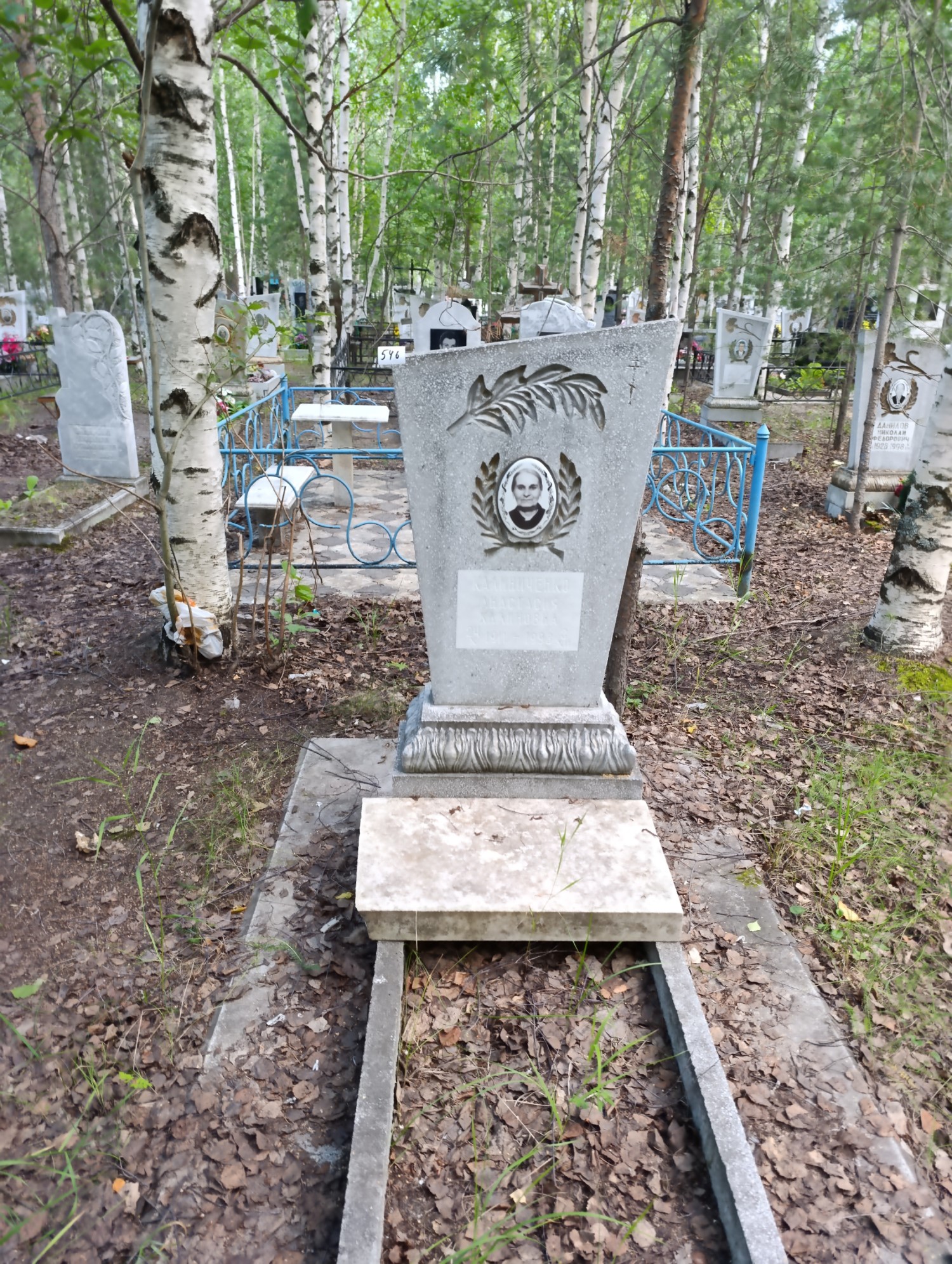 Калиниченко Анастасия Калиновна