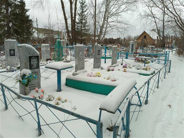Криницин Николай Георгиевич