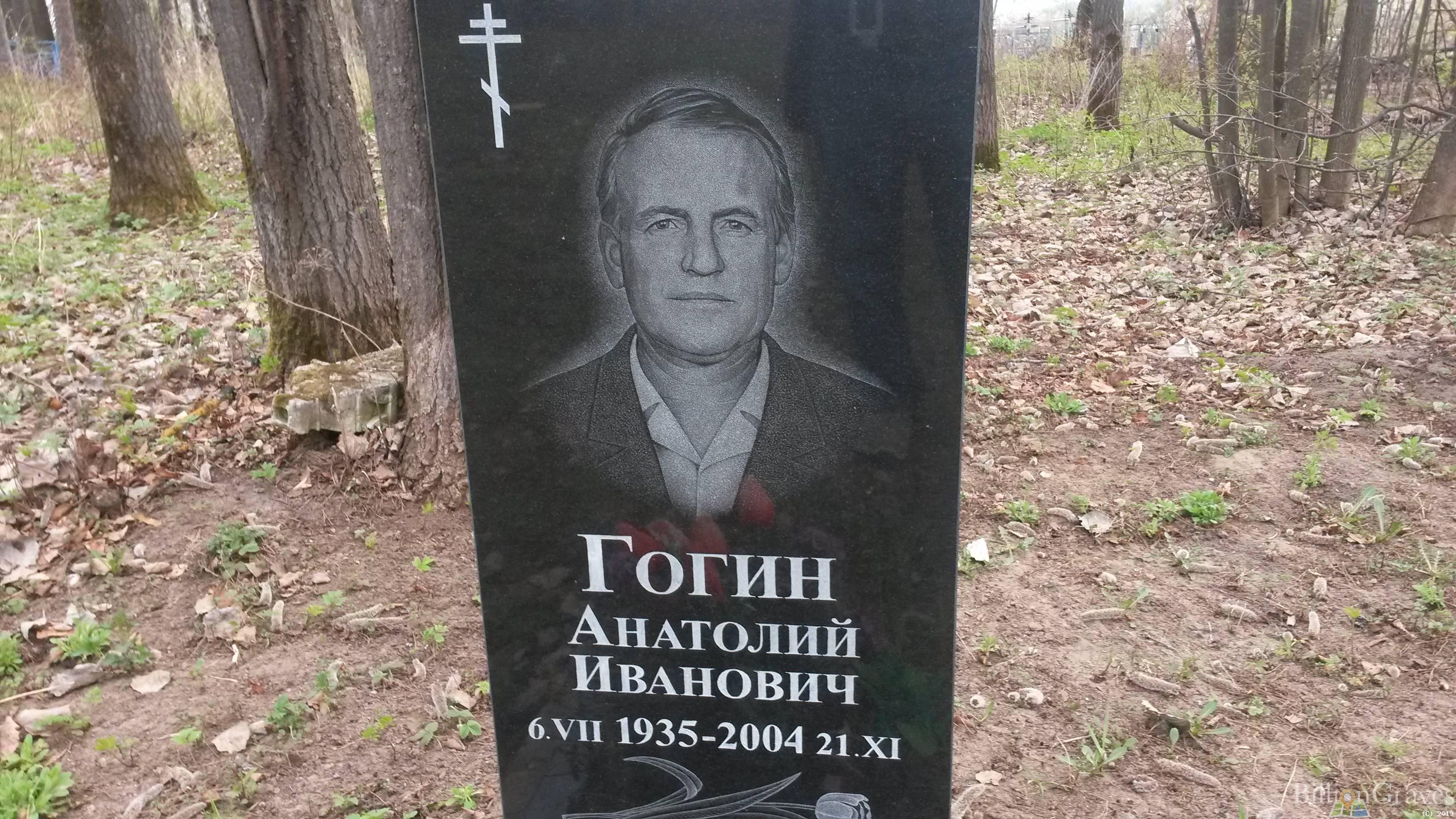 Гогин Анатолий Иванович