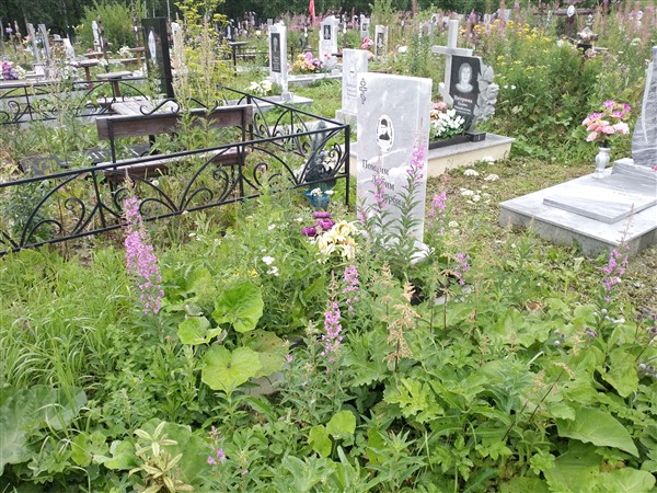 Киргинцев Владимир Юрьевич